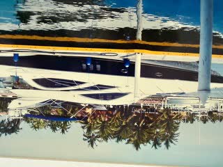 The boat